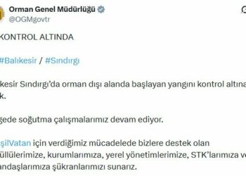 Balıkesir'deki orman yangını 2'nci gününde kontrol altına alındı