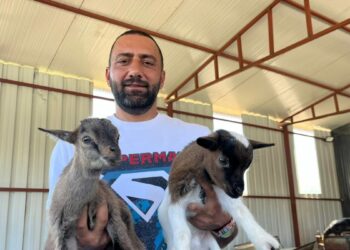 2 cüce keçiyle kurduğu çiftlikte 90 başlık sürüye ulaştı