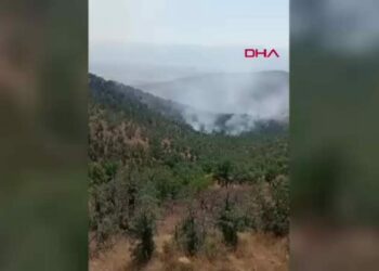 Konya'da orman yangını