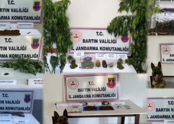 Bartın'da uyuşturucu operasyonu: 16 gözaltı
