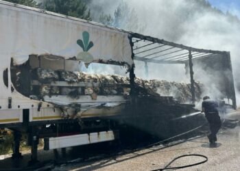 Şeker yüklü TIR’ın dorsesinde çıkan yangın ağaçlara sıçradı