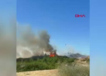 Çanakkale’de tarım arazisinde yangın