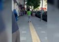 SMA'lı Azem'in kumbarasından hırsızlık yapan şüpheliyi suçüstü görüntüleyip, yakalattı