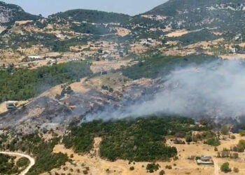 Antalya'da orman yangını