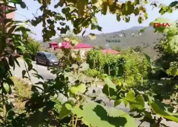 Giresun'da helikopter düştüğü ihbarı üzerine bölgeye ekipler sevk edildi