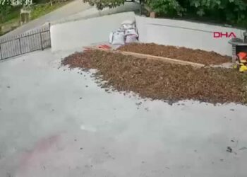 Ordu'da patpat kazası: 1 ölü