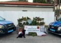 Samsun'da bin 757 kök kenevir ve 138 kilogram esrar ele geçirildi