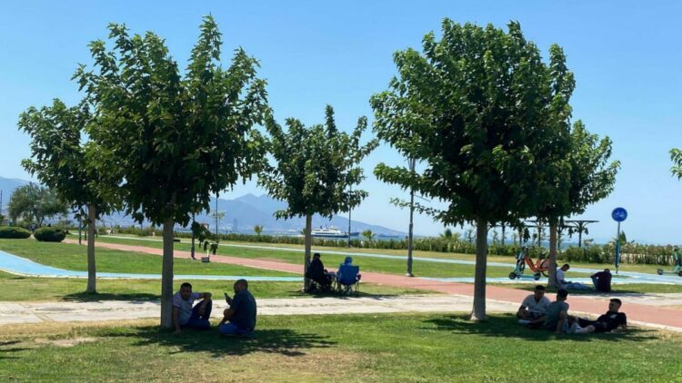 Prof. Dr. Türkeş: Önümüzdeki günlerde hava sıcaklıkları 3 ila 6 derece artacak