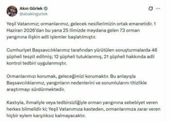 73 orman yangınına ilişkin soruşturmalarda 12 şüpheli tutuklandı