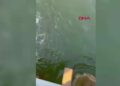 Jetski, köprünün ayağına çarptı: 1ölü, 1 yaralı