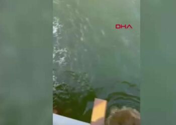 Jetski, köprünün ayağına çarptı: 1ölü, 1 yaralı
