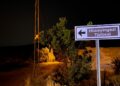 Ankara'da ağaçlık alanda yangın