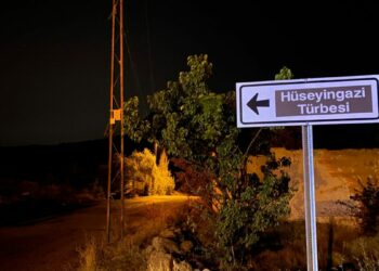 Ankara'da ağaçlık alanda yangın