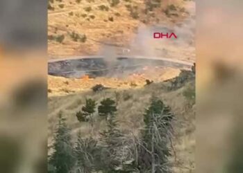 Ankara'da ağaçlık alandaki yangının çıkış anı kamerada
