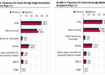 TCMB, hanehalkı beklentilerini açıkladı