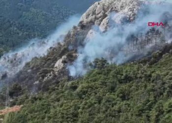Bursa'daki orman yangınına müdahale sürüyor /Görüntü ve hbaer metni eklendi
