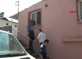 ‘Çöp ev’ ihbarına giden ekipler adreste 100 kedi buldu