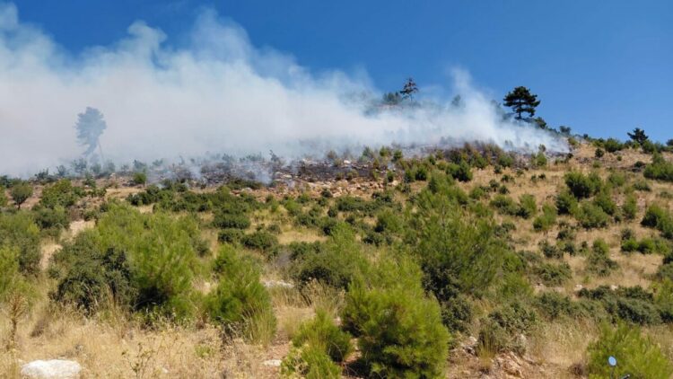 İzmir'de ciğerlerimiz yanıyor: Havadan ve karadan müdahale var