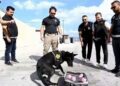 Emekli olan narkotik köpeği Naz'a duygulandıran veda