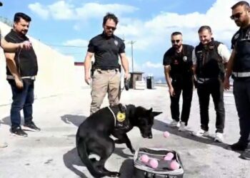 Emekli olan narkotik köpeği Naz'a duygulandıran veda