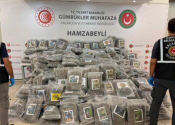Hamzabeyli Sınır Kapısı'nda 287 kilo 910 gram esrar ele geçirildi