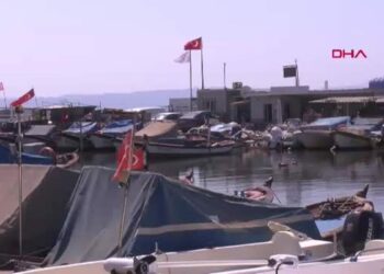 'Bu sene denizlerin padişahı palamut olacak'