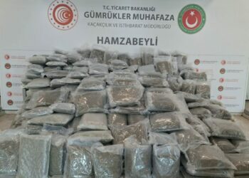 Hamzabeyli Gümrük Kapısı'nda 288 kilo esrar ele geçirildi