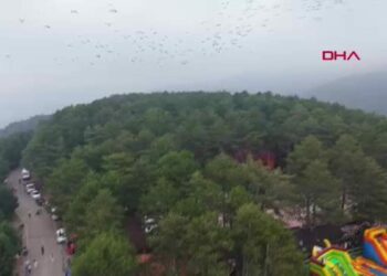 Göç yolundaki leylekler, Amanos Dağları'nda dron ile görüntülendi