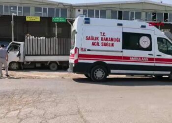 Direksiyonda kalp krizi geçirip kaza yapan kamyonet sürücüsü öldü