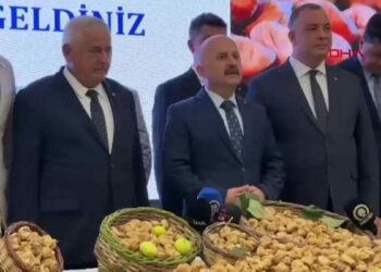 Aydın'da sezonun ilk kuru inciri 850 TL'den alındı