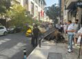 Şişli’de ağaç devrildi; yol trafiğe kapandı