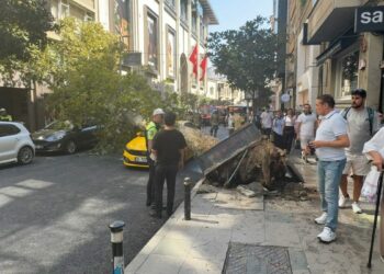 Şişli’de ağaç devrildi; yol trafiğe kapandı