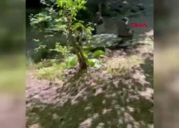 Ormanda yürüyüş yaparken kayalıklardan düşüp ayağı kırıldı; 4 saat süren kurtarma anı kamerada