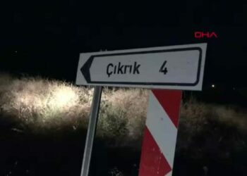 Mezarlıkta kalan kadın, belediyenin misafirhanesine yerleştirildi