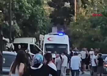 Kayınpederini tüfekle yaraladı