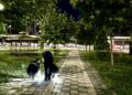 Malatya’da iki silahlı kavga; 5 yaralı