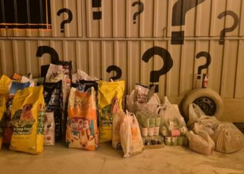 İzmir'de 'Dünya Köpek Günü’nde patili dostlar için 600 kilo mama toplandı