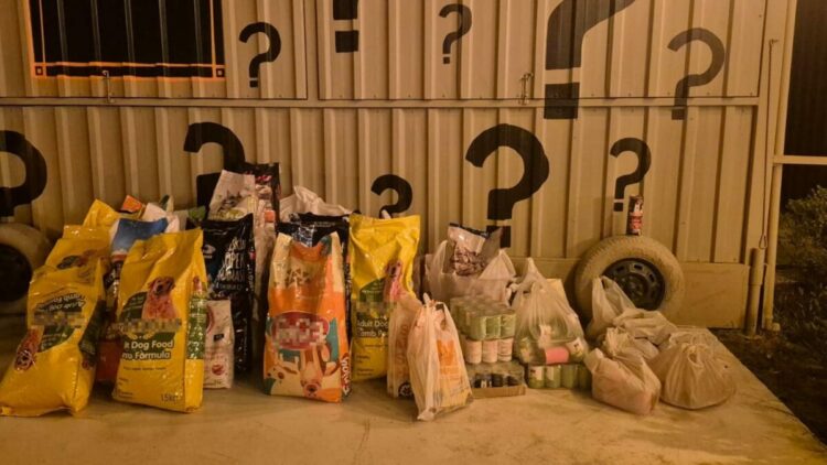 İzmir'de 'Dünya Köpek Günü’nde patili dostlar için 600 kilo mama toplandı