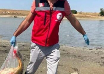 Tekirdağ'da gölette balık ölümlerine inceleme