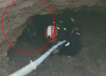 Obrukta mahsur kalan keçiyi AFAD ekipleri kurtardı