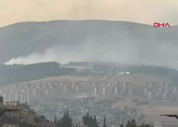 Kahramanmaraş'ta orman yangını