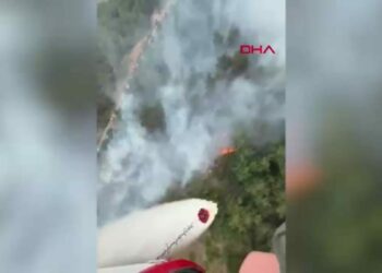 Balıkesir’de orman yangını