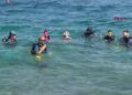 Antalya'nın su altı dünyası, dalış tutkunlarını gözdesi