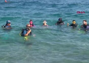 Antalya'nın su altı dünyası, dalış tutkunlarını gözdesi
