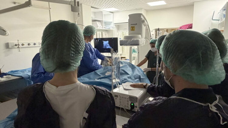 Romanyalı doktorlar, ablasyon yöntemini Türk hekimlerden öğrendi