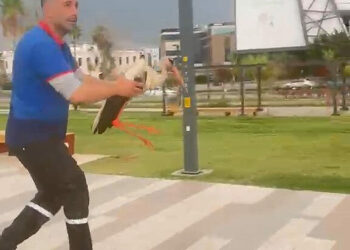 Yaralı leyleği kıyafetleriyle denize girip kurtardı
