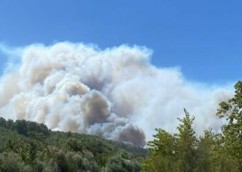 Seydikemer'de tarım arazisinde çıkan yangın, Kaş'ta ormana sıçradı
