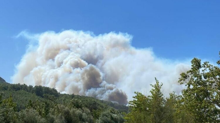 Seydikemer'de tarım arazisinde çıkan yangın, Kaş'ta ormana sıçradı
