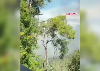 Manavgat’ta sazlık alanda yangın