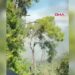 Manavgat’ta sazlık alanda yangın
